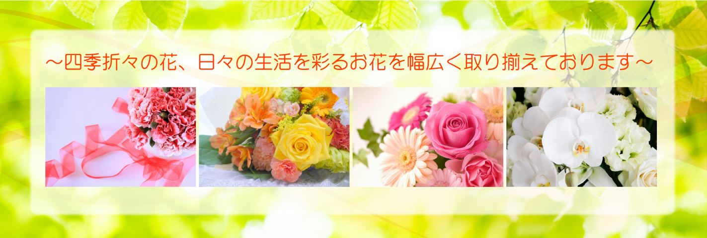 和歌山市 花屋 花のとみや 花キューピット加盟店 花束 ブーケ スタンド花